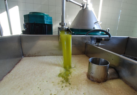 Produccin de aceite de oliva en Espaa